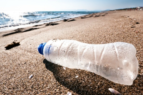 Marine pollution plastic bottle.JPG
